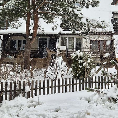 Apartament Wokol Stolu Zakopane Eksteriør bilde